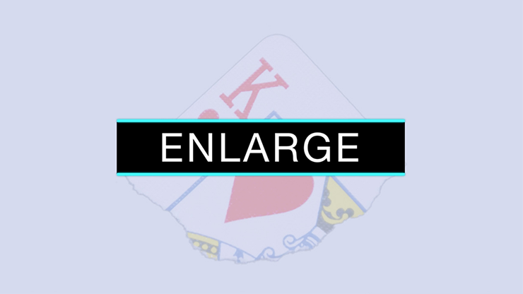 Enlarge (DVD and Gimmicks) by SansMinds - DVD-SALE