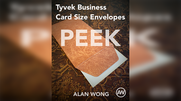 Tyvek Business Card Size Peek Envelopes (10 pk.) by Alan Wong-SALE