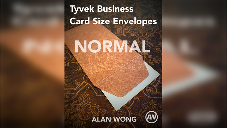 Tyvek Business Card Size Envelopes (10 pk.) by Alan Wong-SALE