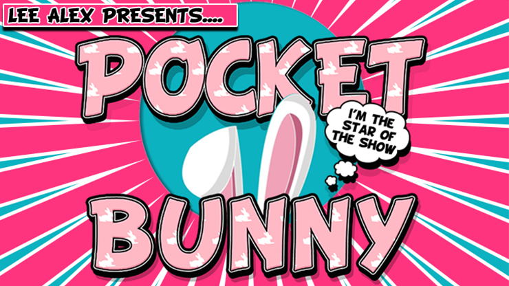 Pocket Bunny by Lee Alex-SALE