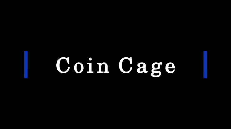 Coin Cage (Silver) by Paul Carnazzo-SALE