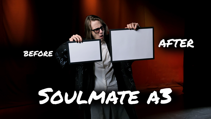 Soulmate (Large A3 size) by Hide & Sergey Koller-SALE