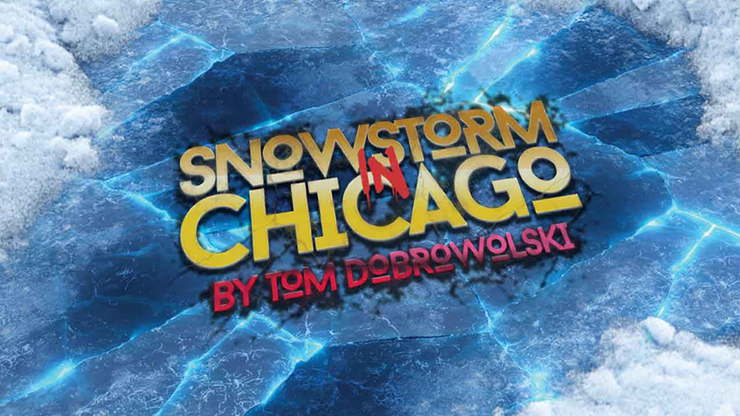Bigblindmedia Presents Snowstorm In Chicago (Red) by Tom Dobrowolski-SALE
