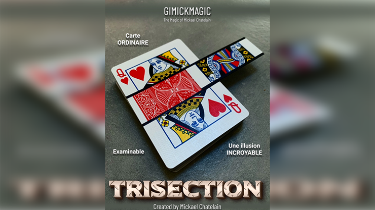 TRISECTION (Red) by Mickael Chatelain-SALE