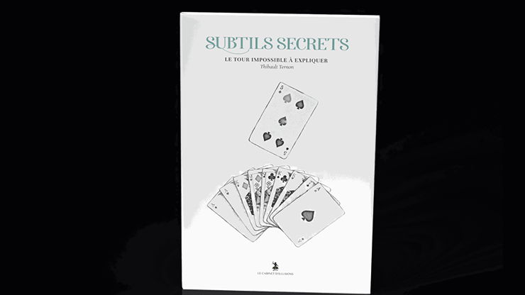 Subtle Secrets 2 by Thibault Ternon-SALE
