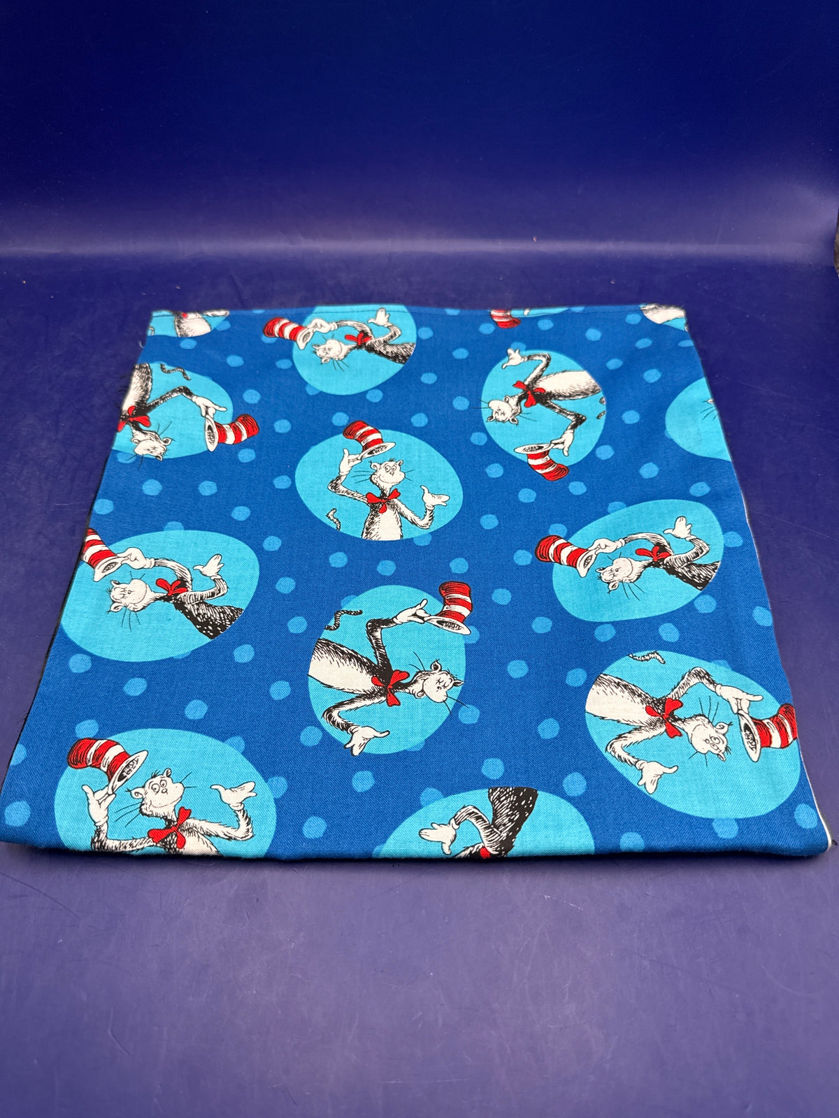Tear Apart Change Bag -Dr. Seuss-Cat in the Hat