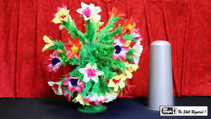 Classic Botania Jumbo (22"/40 Flowers)by Mr. Magic