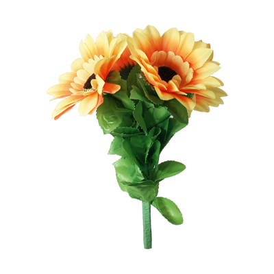 Amazing Split Sunflower by Premium Magic - Trick-SALE