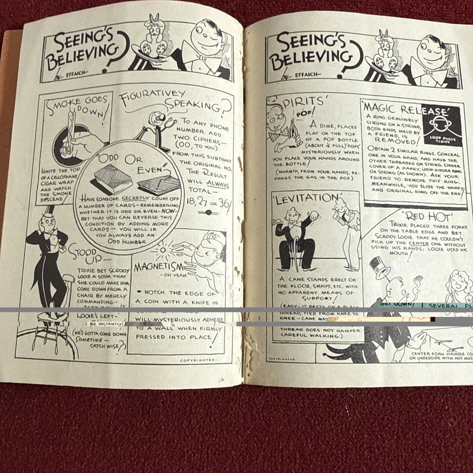 Lesta’s Handbook Of Master Magical Secrets RARE Seeing Is Believing Effaich - ESTATE