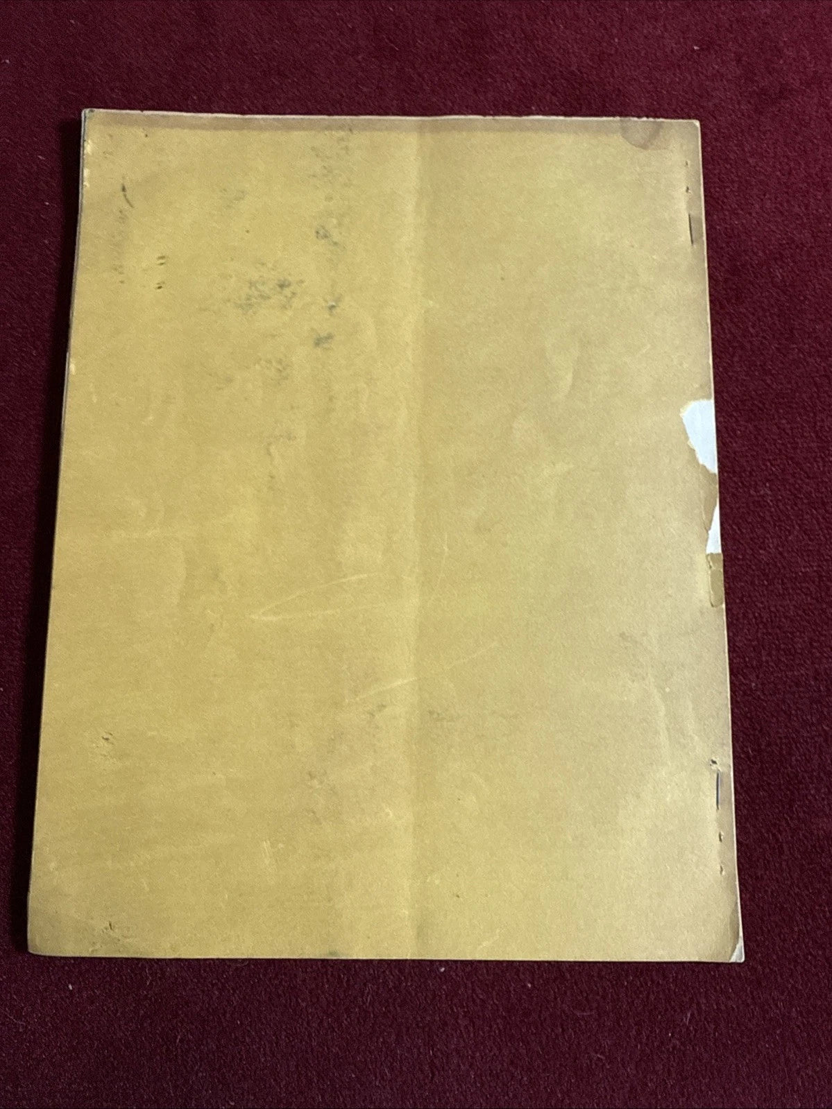 Ireland’s Year Book 1949 Magic Annual Newsletter