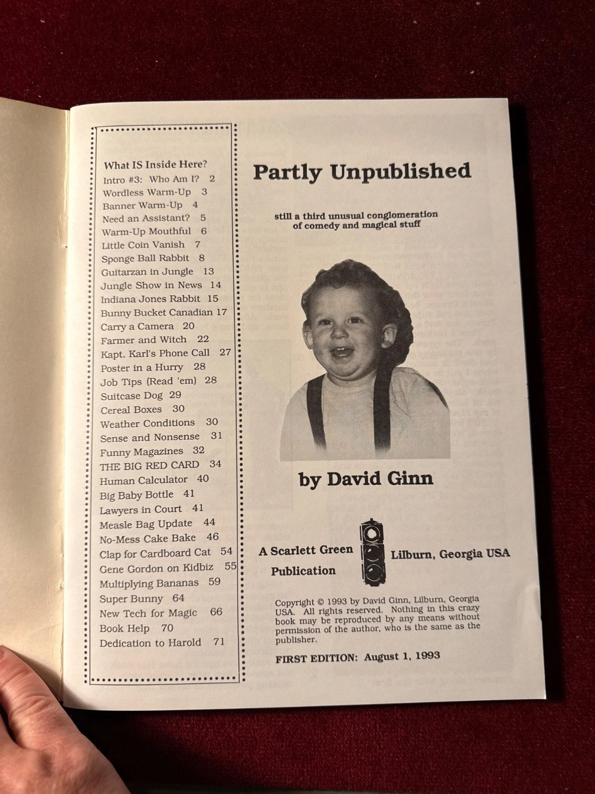 Partly Unpublished by David Ginn
